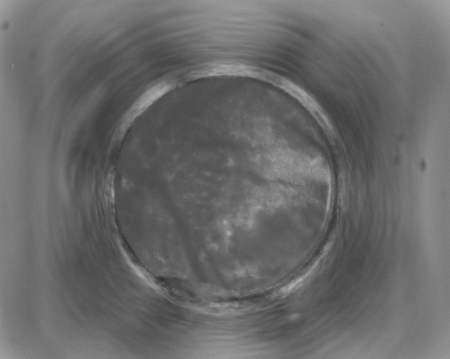 X0000087631241200705241207