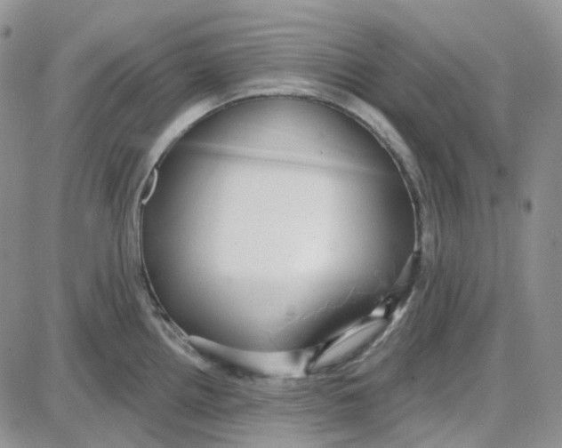 X0000087631242200705241207