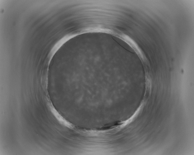 X0000087631244200705241207