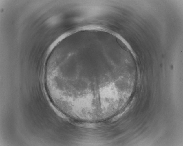 X0000087631245200705241207