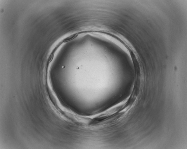 X0000087631246200705241207