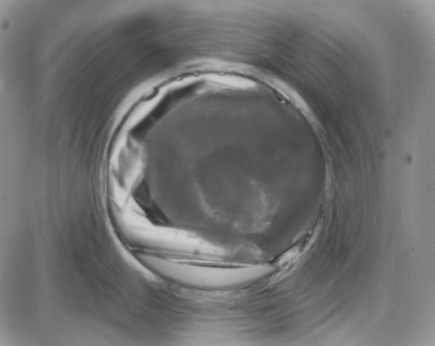 X0000087631247200705241207