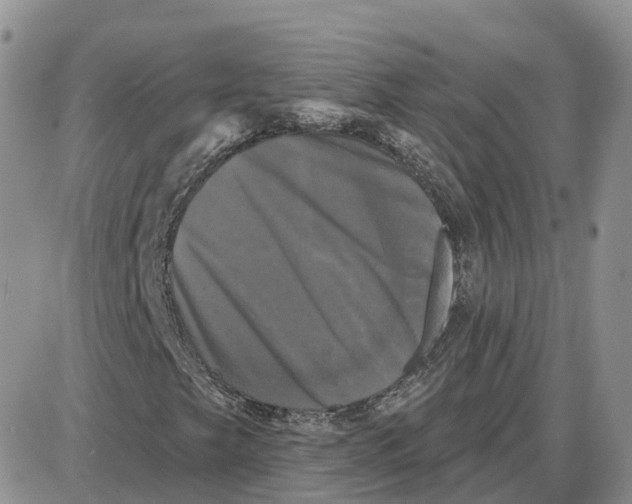 X0000087631249200705241206