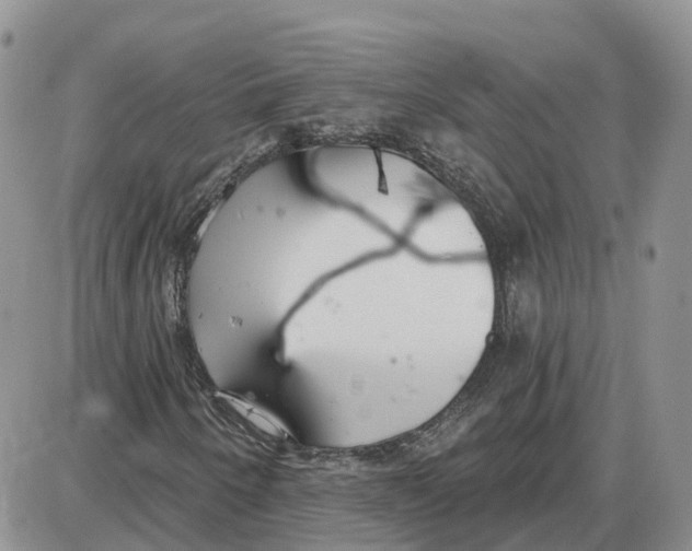 X0000087631250200705241206