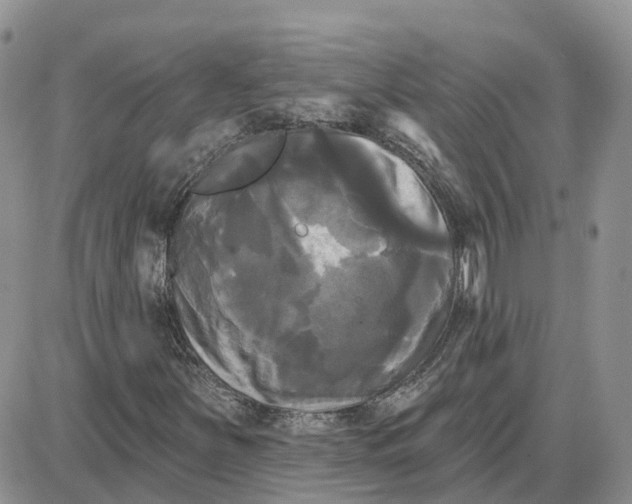 X0000087631251200705241206