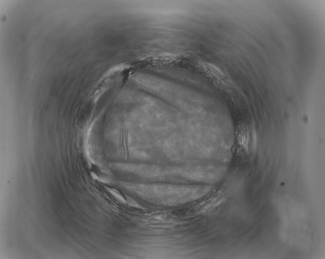 X0000087631252200705241206