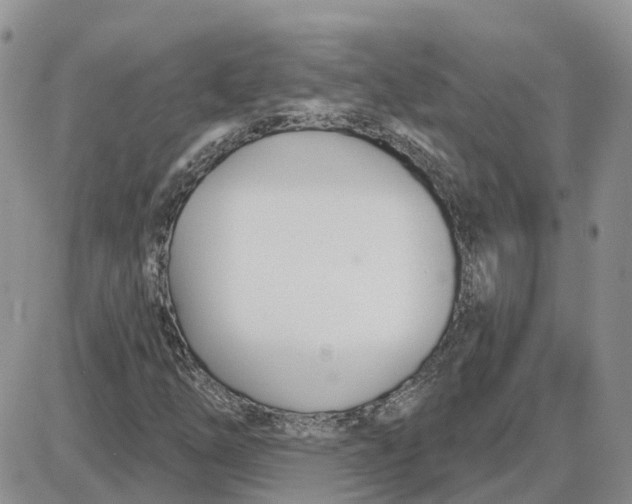 X0000087631254200705241206