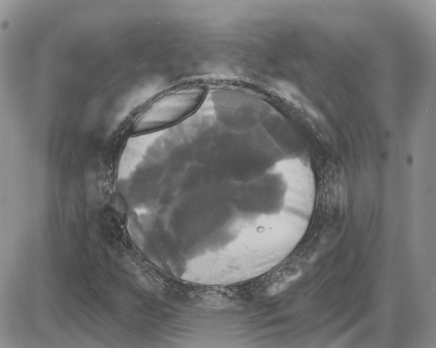 X0000087631255200705241206