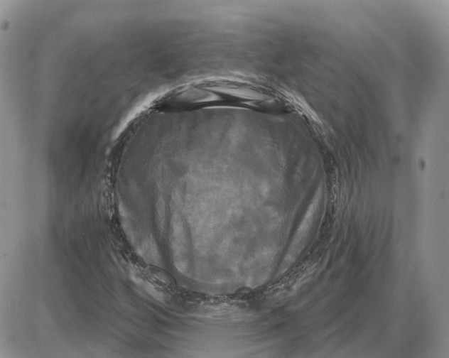 X0000087631256200705241206