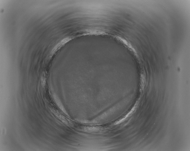 X0000087631257200705241206