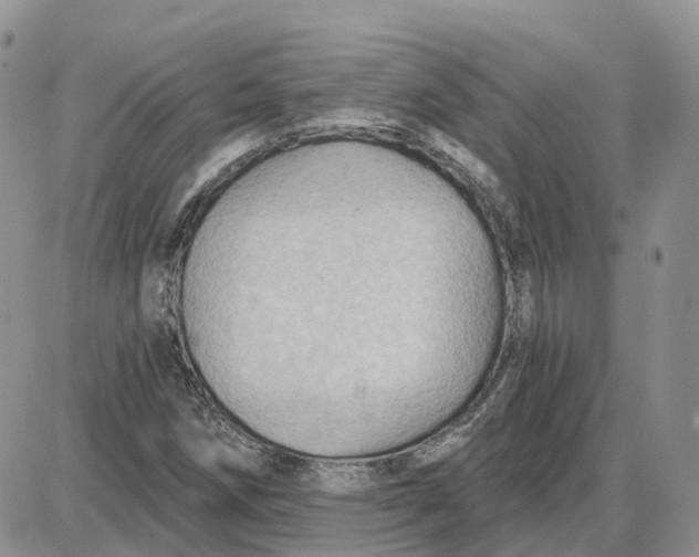 X0000087631258200705241206