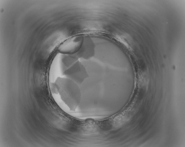 X0000087631259200705241206