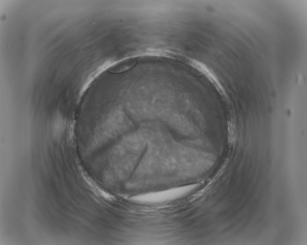 X0000087631260200705241206