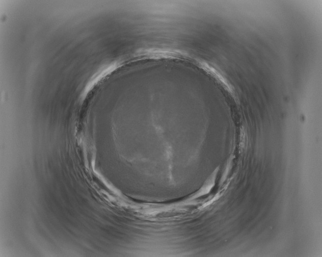 X0000087631261200705241206