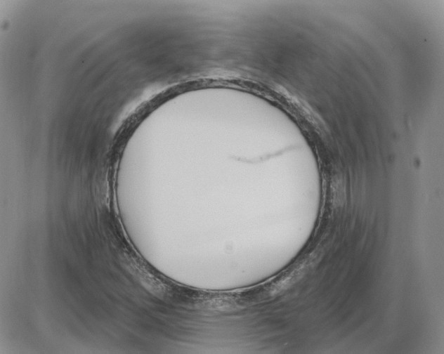 X0000087631262200705241206