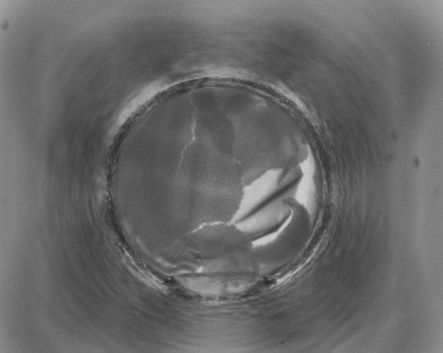 X0000087631263200705241206