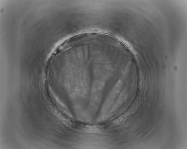 X0000087631264200705241206