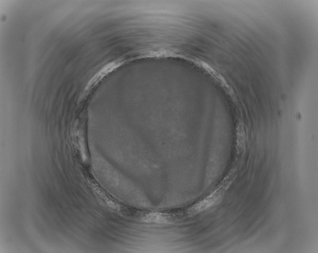 X0000087631265200705241206