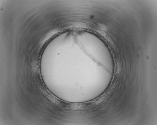 X0000087631266200705241206