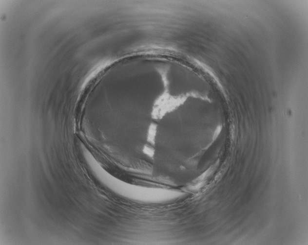 X0000087631267200705241206