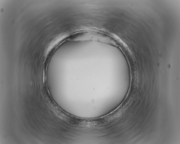 X0000087631269200705241206