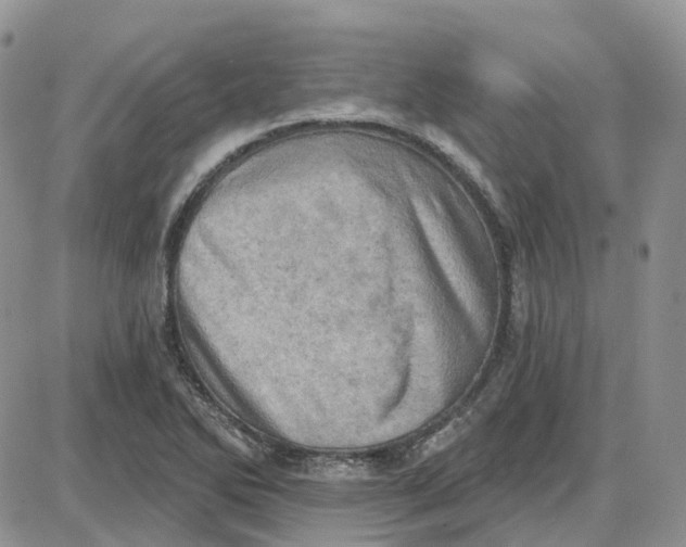 X0000087631270200705241206