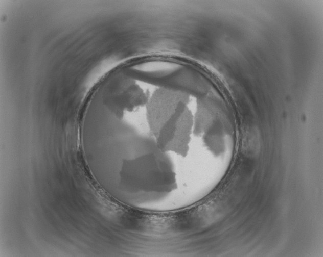 X0000087631271200705241206