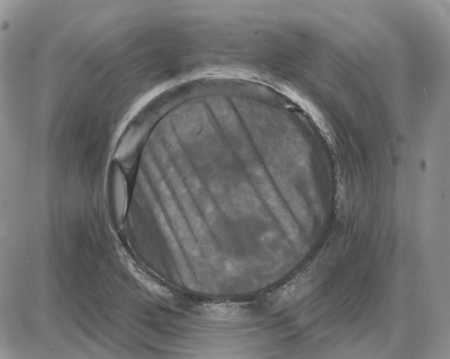 X0000087631272200705241206