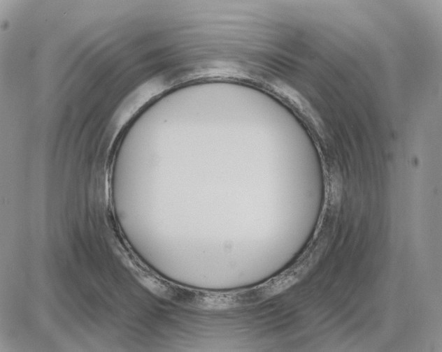 X0000087631274200705241206