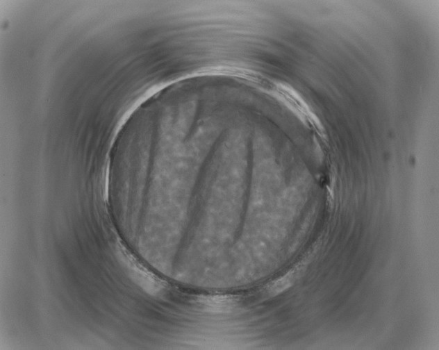 X0000087631276200705241206