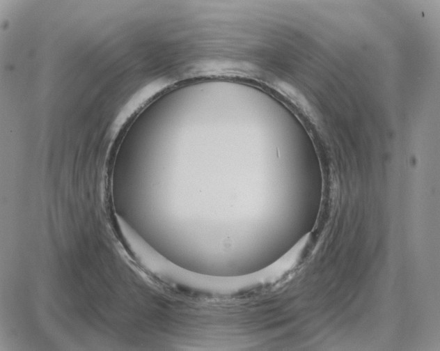 X0000087631277200705241206