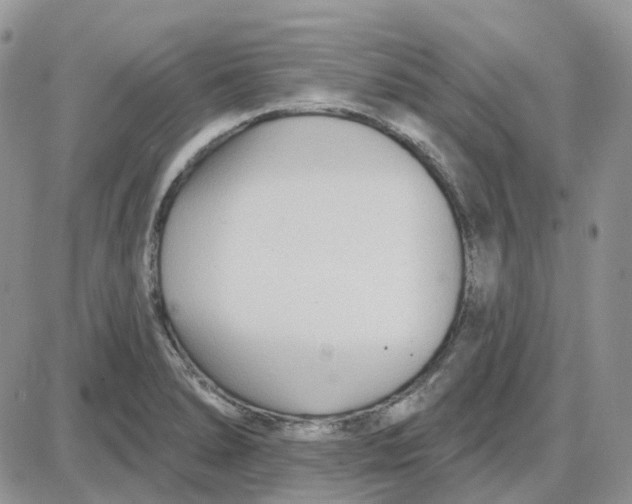 X0000087631278200705241206