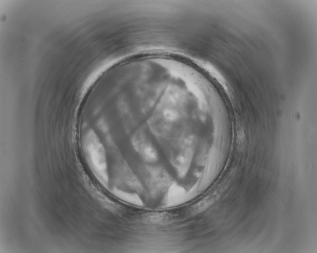 X0000087631279200705241206