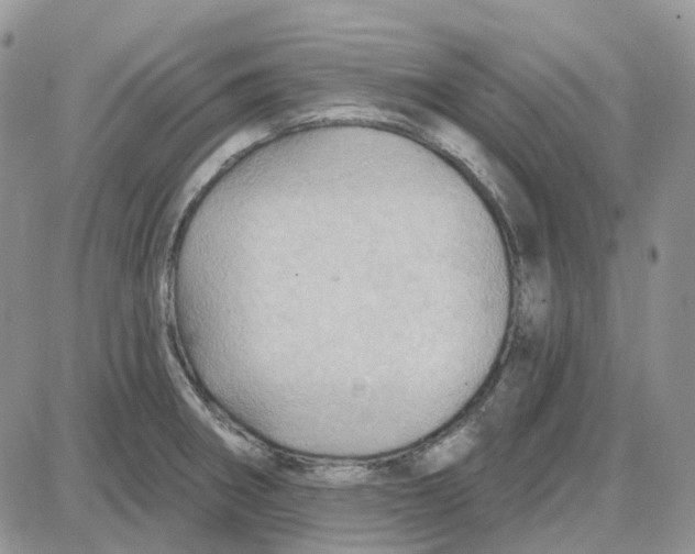 X0000087631282200705241206