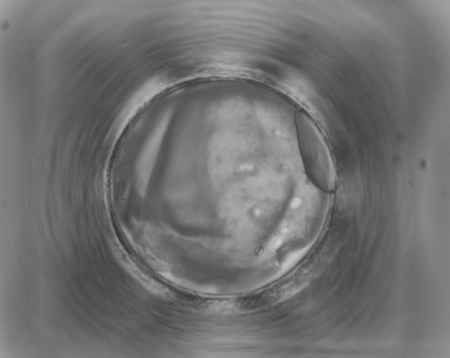 X0000087631283200705241206