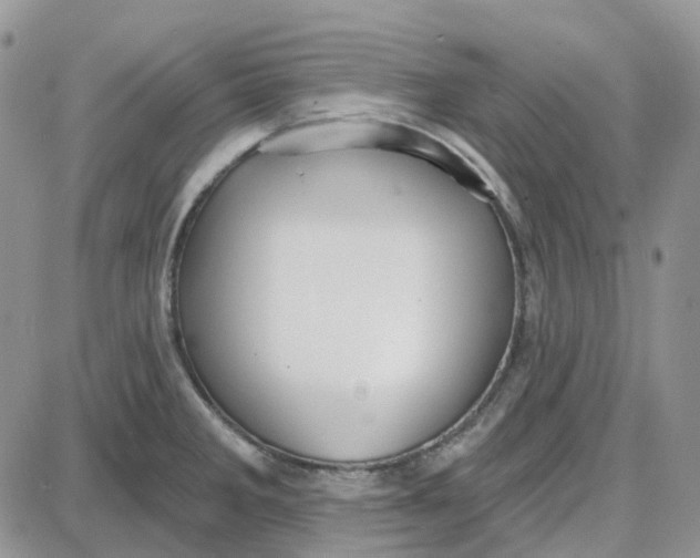 X0000087631285200705241206