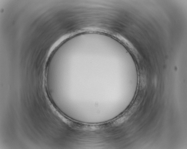 X0000087631286200705241206