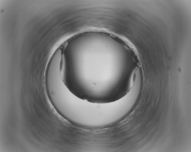 X0000087631287200705241206