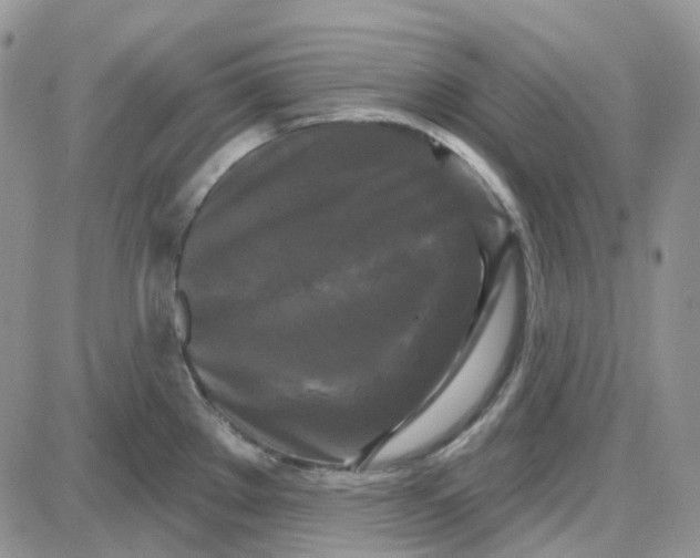 X0000087631289200705241205