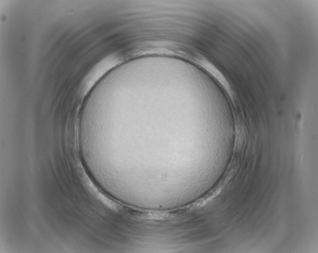 X0000087631290200705241205