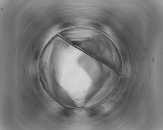 X0000087631291200705241205