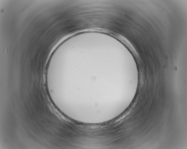 X0000087631292200705241205