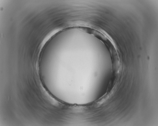 X0000087631293200705241205