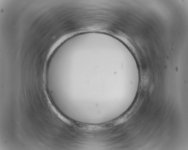 X0000087631294200705241205