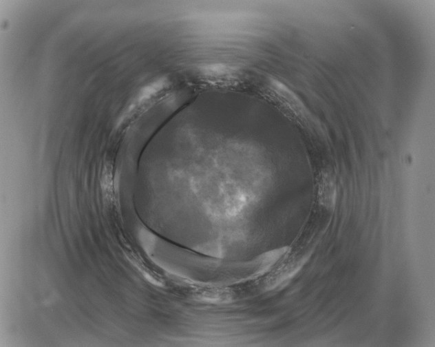 X0000087631298200705241205