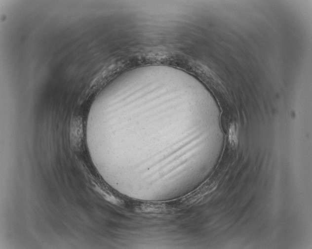 X0000087631299200705241205