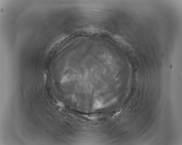 X0000087631302200705241205