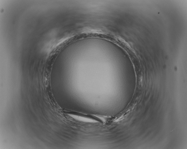 X0000087631303200705241205