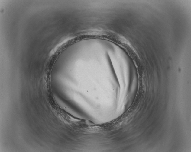 X0000087631304200705241205