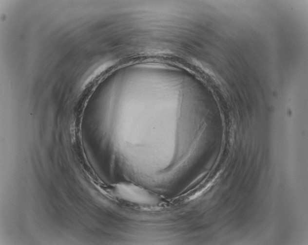 X0000087631306200705241205